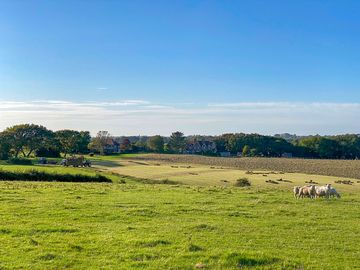 The sheep will be moved months before your stay (added by manager 26 Jul 2023)