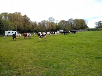 Lower Gages Farm Camping & Caravanning (added by manager 31 May 2013)