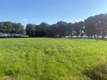 Main field for camping (added by manager 18 Jul 2021)