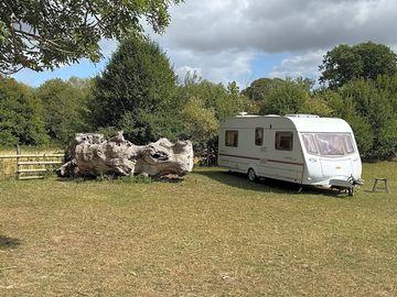 Camping pitch surrounded by greenery