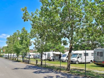 Pitches among the trees