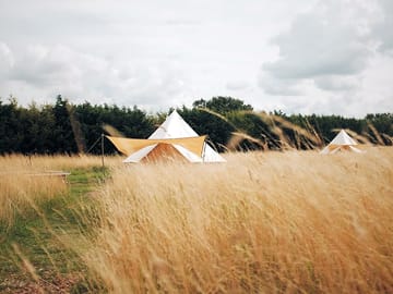 Furnished bell tents (added by manager 23 Nov 2016)