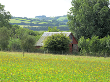 A view from the wildflower meadow (added by manager 30 Jun 2021)