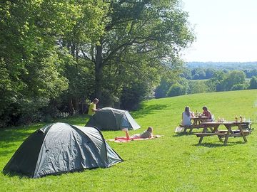 Pitches with picnic bench (added by manager 26 Jun 2020)