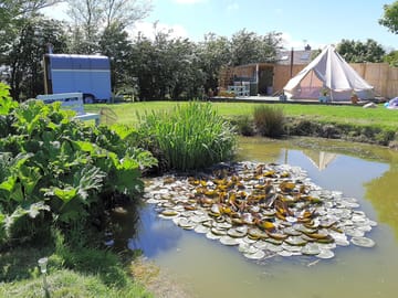 Pond on site (added by manager 11 Sep 2019)
