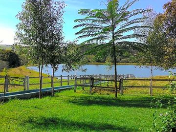 View over the lake