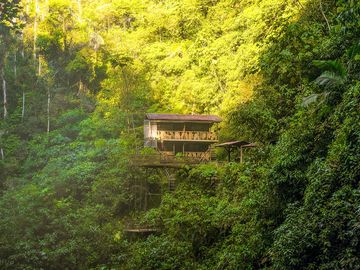 Bungalows in the jungle