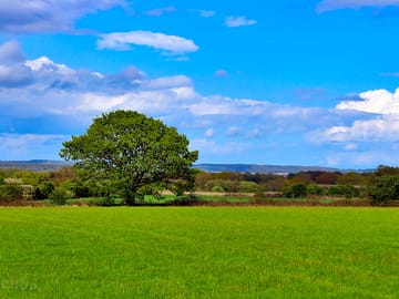 The site in summer, with the hills of Kent in the distance (added by manager 01 Apr 2021)