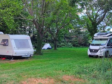 Pitches among the trees