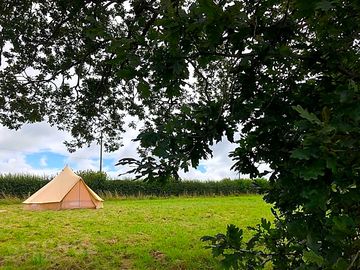 Bell tent pitch (added by manager 11 Aug 2021)