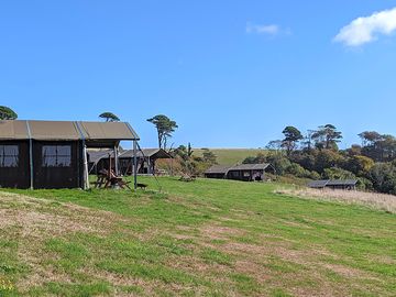 A small-scale farm