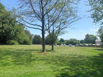 Image of our paddock, where caravans & motorhomes can pitch up