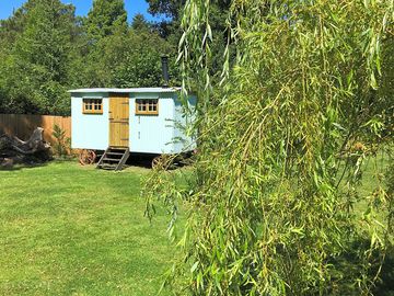 Children love to run under the branches of the weeping willow tree (added by manager 25 May 2022)