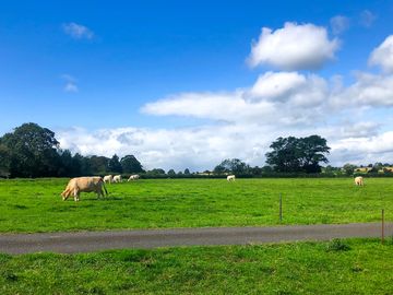 Lovely views