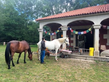 Horses on site (added by manager 01 Aug 2019)