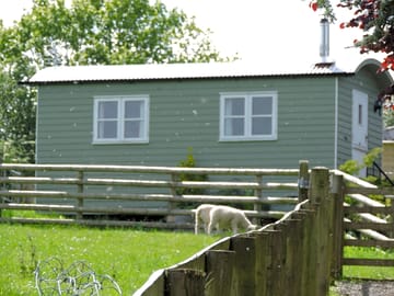 Shepherd's hut (with sheep) (added by manager 31 Jul 2020)