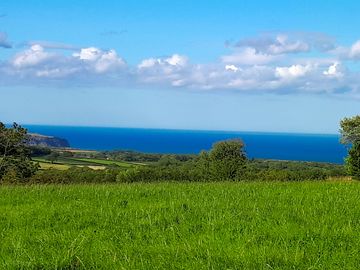 View over Robin Hood's Bay (added by manager 15 Jun 2020)