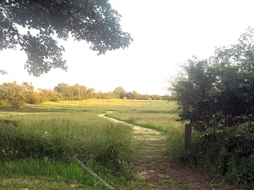Pathway through the meadow (added by manager 28 Mar 2022)