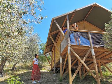 Safari tent exterior