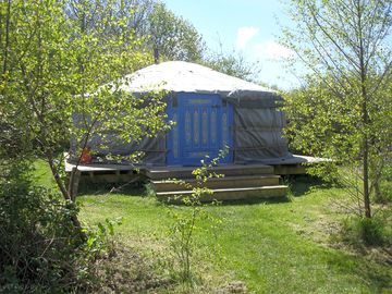 Birch yurt (added by manager 18 May 2013)