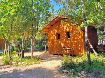 Dappled shade around the Cabane