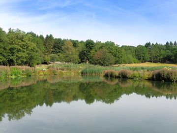 Pond next to the pitches (added by infolongashesparkcouk 02 Aug 2018)