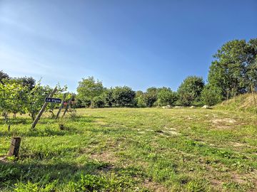 Pitches next to the vines
