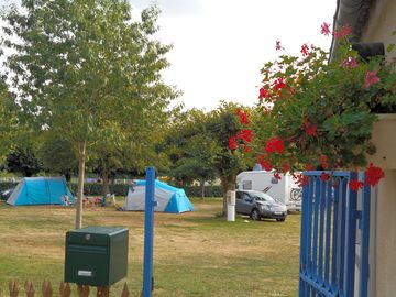 Grass pitches with trees for shade (added by manager 22 Jan 2018)