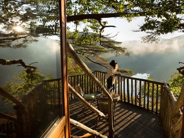 Views over trees