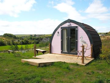 Petite pod