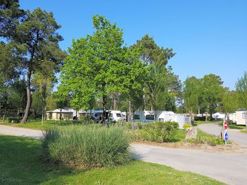 Green and wooded surrounds