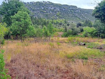 View of the site