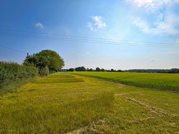 Pitches are separated by strips of long grass
