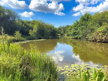 One of the lakes on site (added by manager 17 Aug 2023)