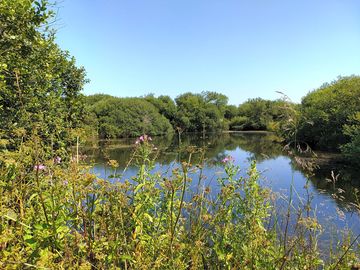 Come walk around the ponds (added by manager 21 Jul 2021)