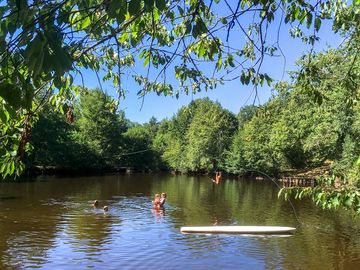Swimming in the lake