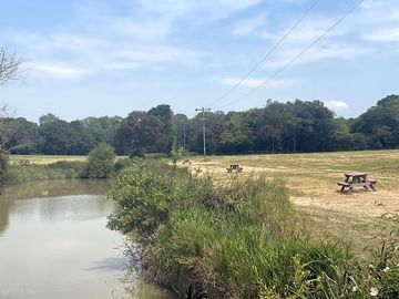 Pitches around the small lake (added by manager 26 Jul 2023)