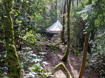 View of the firepit shelter through the trees (added by manager 12 Jun 2023)