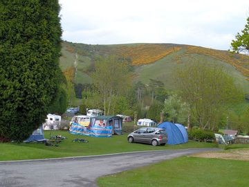 Tenting Area (added by manager 01 Jun 2015)