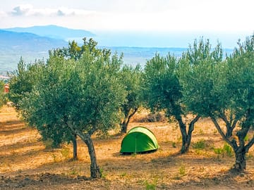 Tent among the trees (added by manager 21 Oct 2022)