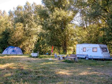 Spacious pitches surrounded by trees