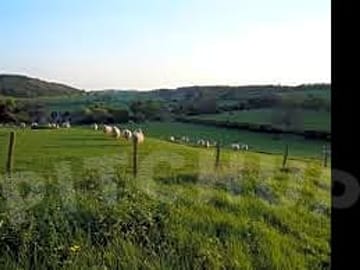Sheep grazing on the farm (added by manager 17 Mar 2013)