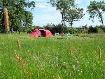 Tent pitch on the meadow (added by manager 05 Jun 2022)