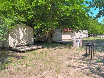 Glamping tents shaded by trees