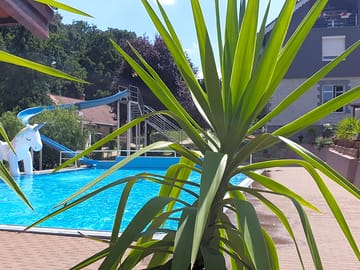 The slide and the pool (added by manager 02 Oct 2019)