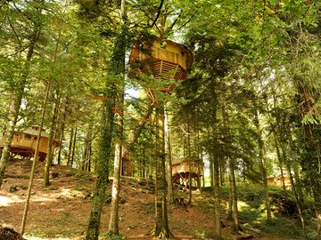 Treehouses high up in the woods (added by manager 21 Dec 2017)