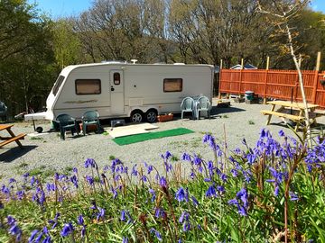 Springtime and the bluebells are in full bloom (added by manager 21 Apr 2022)