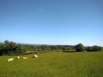 View from the farm (added by manager 27 Jun 2021)