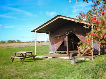 Safari tent exterior (added by manager 24 May 2023)