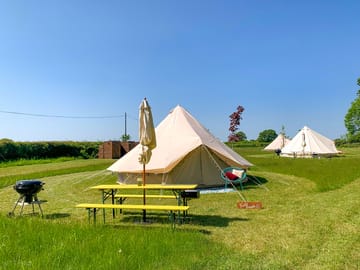 Field Maple Bell Tent (added by manager 20 Jul 2023)